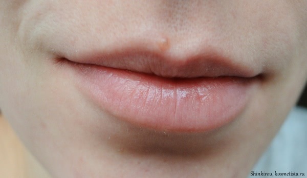 Помада L'oreal paris Color Riche Lipcolor в оттенке 390 Nude treasure