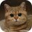Christina_Guettler