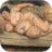 Lesya