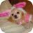 lilpy