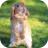Masha_S