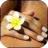 Arnica