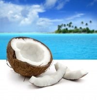 The Body Shop: Гастрономия для тела (масло, молоко, пюре, сорбет)