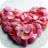lolli_pop