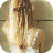 DaNY