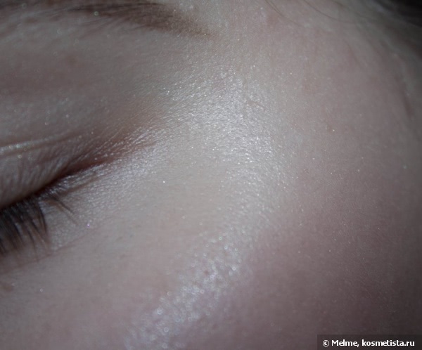 Chanel Camelia de Plumes Highlighting Powder Holiday 2014 Сollection