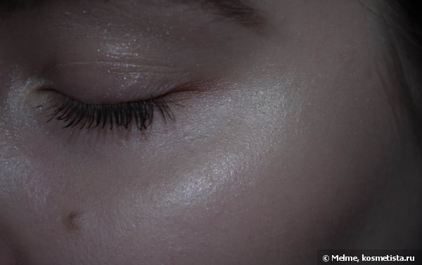 Chanel Camelia de Plumes Highlighting Powder Holiday 2014 Сollection