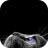 melamory_blimm