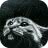 TaBy