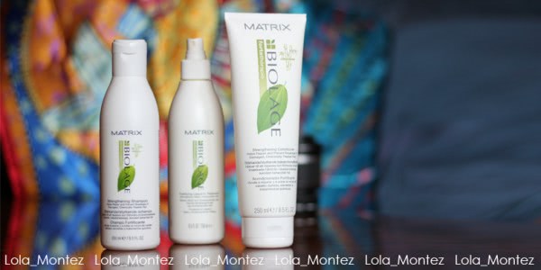 MATRIX BIOLAGE ForteTherapie Strengthening Shampoo и MATRIX BIOLAGE ForteTherapie Strengthening Conditioner