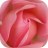 luiza