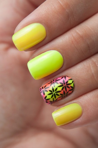 El Corazon Active Bio-gel Color gel polish — коллекция Jelly Neon