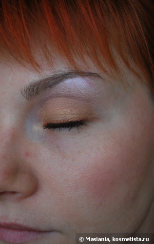 Shiseido Luminizing Satin Eye Color Trio BR 214 Into the Woods Мои золотые