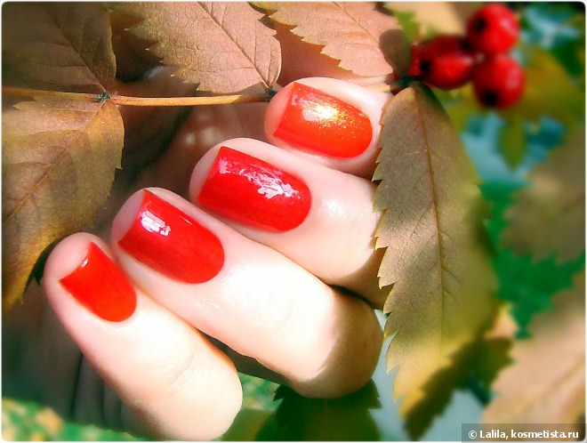 Sally Hansen Complete Salon Manicure Cherries To My Aries и осенний дизайн с плитой BornPrettyStore 024