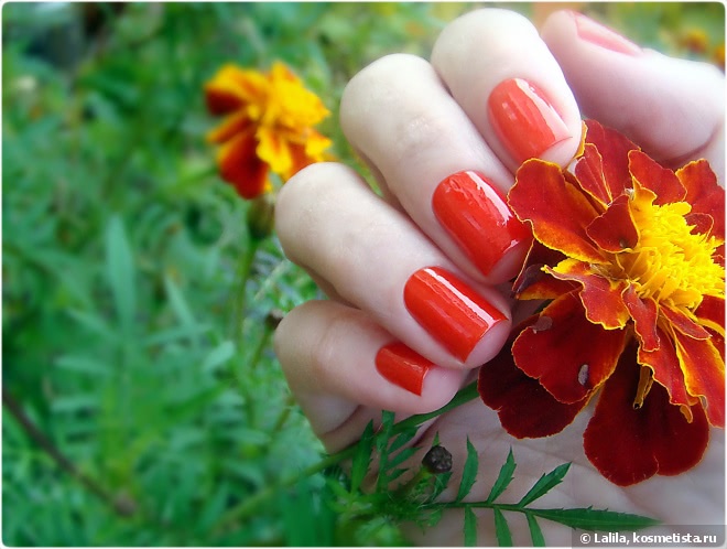 Sally Hansen Complete Salon Manicure Cherries To My Aries и осенний дизайн с плитой BornPrettyStore 024