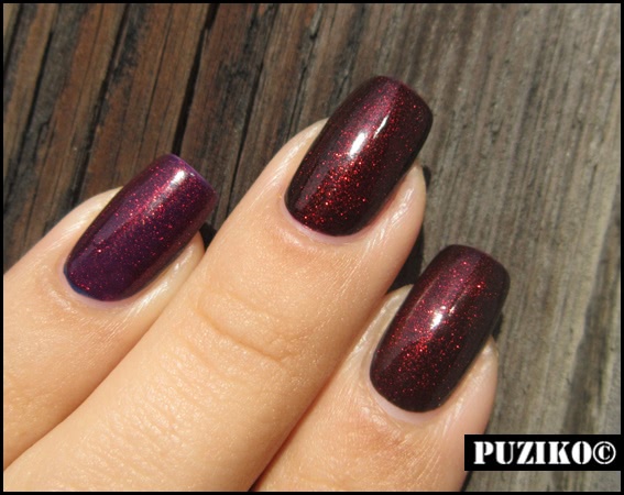 Beyu Nail Lacquer Brilliant Shiraz # 209 Inci 31