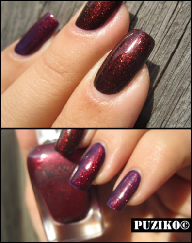 Beyu Nail Lacquer Brilliant Shiraz # 209 Inci 31