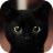 Bastet39