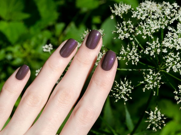 Anny Nail Polish № 530 Must Have
