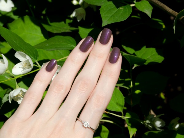 Anny Nail Polish № 530 Must Have