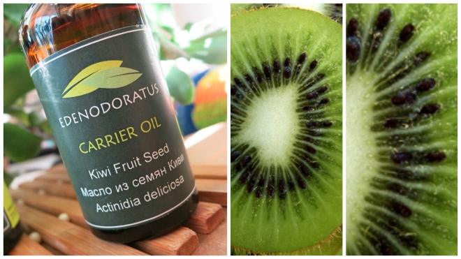 Edenodoratus Carrier oil - Blackcurrant Seed, Kiwi Fruit Seed & Andiroba