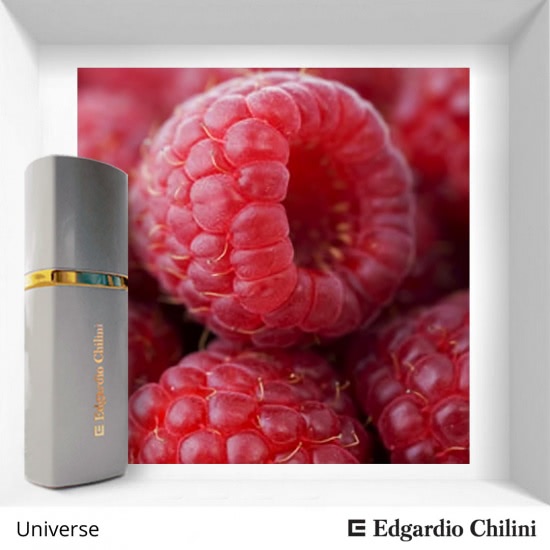 Edgardio Chilini Olifactorium Universe