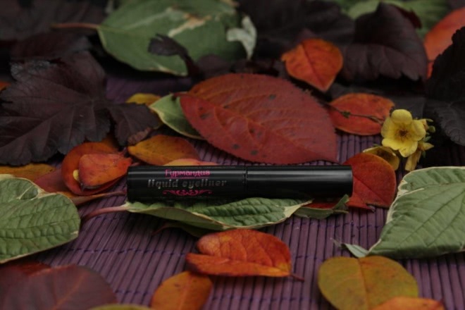 Подводка для глаз черная Гурмандиз Liquid eyeliner - стоит ли игра свеч?