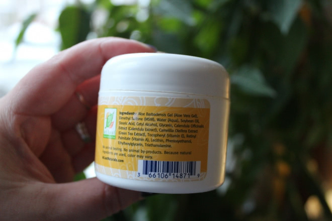 Самый лучший крем от прыщей At Last Naturals MSM Cream Moisturizer with vitamin E with vitamin E Увлажняющий крем МСМ с витамином Е