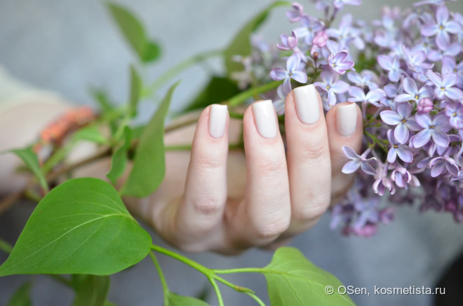 Cirque Lilac Dream