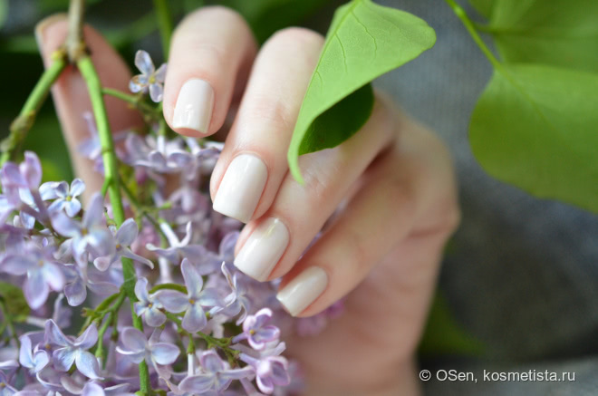 Cirque Lilac Dream