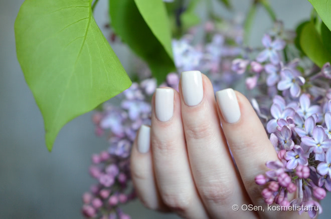 Cirque Lilac Dream