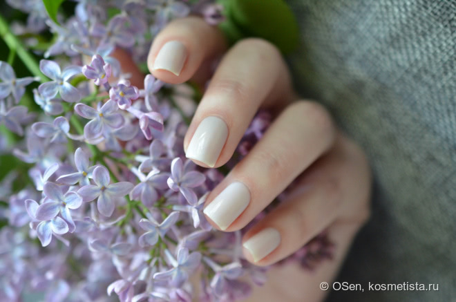 Cirque Lilac Dream