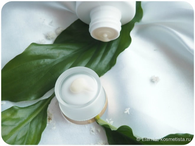 Мягкий уход на каждый день - AlpStories Organic Shampoo Aloe Vera & Organic Hair Conditioner Aloe Vera