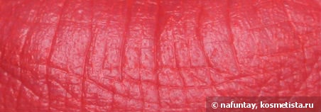 Бархат на губах или Velvet liquid Lipstick Levres de Velours от Vivienne Sabo Paris в оттенке 205