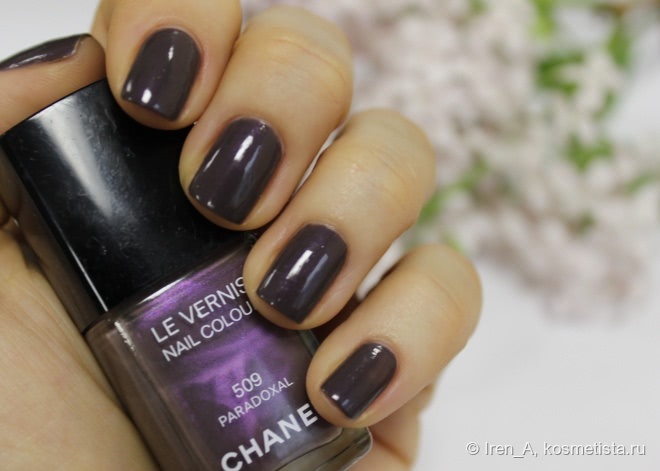 Chanel Le Vernis Nail Colour #509 Paradoxal и его парадоксальные родственники