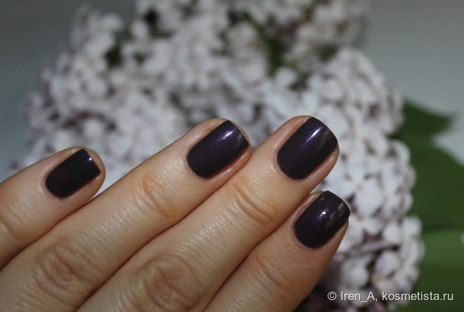Chanel Le Vernis Nail Colour #509 Paradoxal и его парадоксальные родственники