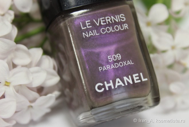 Chanel Le Vernis Nail Colour #509 Paradoxal и его парадоксальные родственники