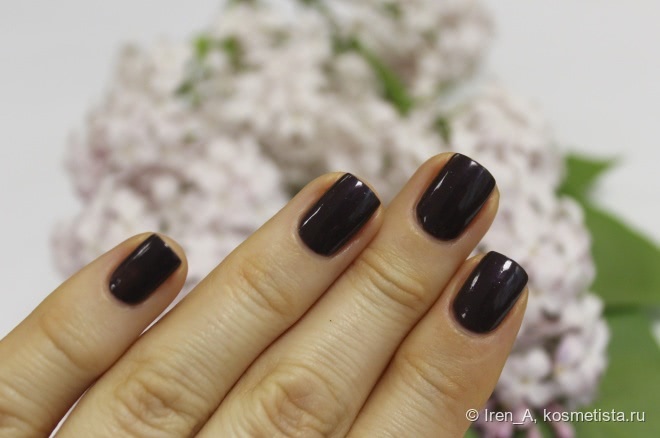 Chanel Le Vernis Nail Colour #509 Paradoxal и его парадоксальные родственники