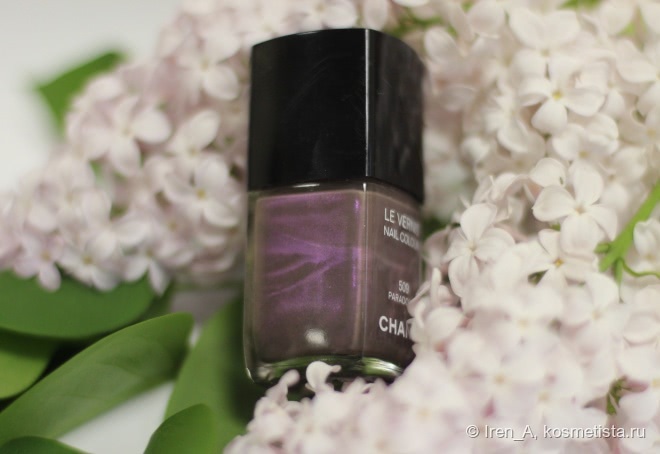Chanel Le Vernis Nail Colour #509 Paradoxal и его парадоксальные родственники