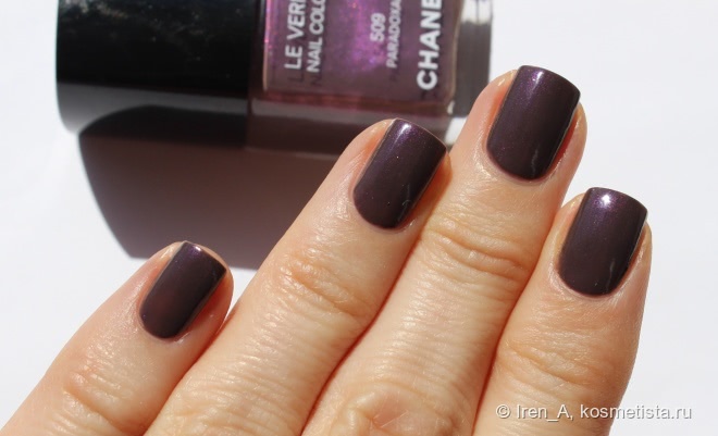Chanel Le Vernis Nail Colour #509 Paradoxal и его парадоксальные родственники