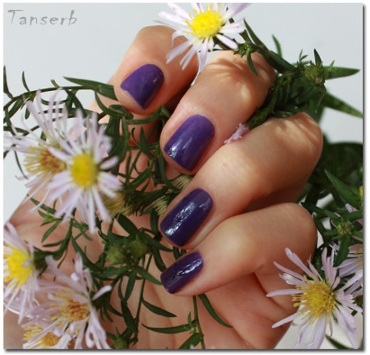 Лак Vipera cosmetics High Life # 835