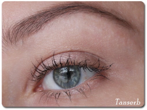Тени для бровей Catrice eyebrow set 010