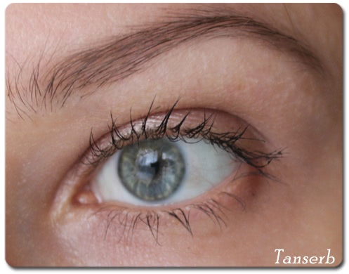 Тени для бровей Catrice eyebrow set 010