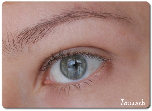Тени для бровей Catrice eyebrow set 010