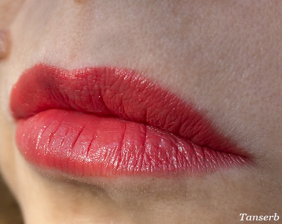 Помада Bourjois Rouge Edition 12 Hours № 29 “Cerise Sur Le Lipstick”