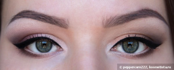 Первый блин комом? Make-Up Atelier Paris Eyeshadow Palette T19 Bois De Rose