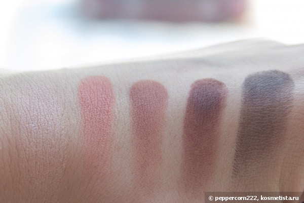 Первый блин комом? Make-Up Atelier Paris Eyeshadow Palette T19 Bois De Rose