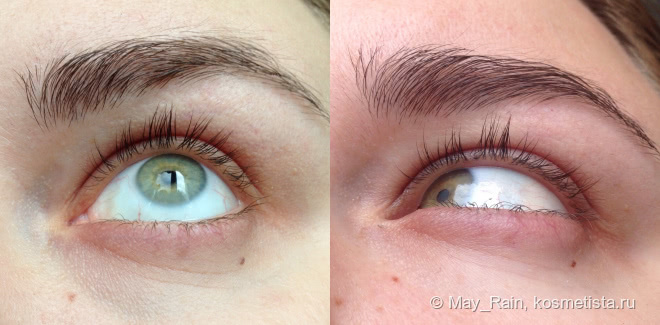Мой рассказ о попытках отрастить ресницы с Lash Trick#1
