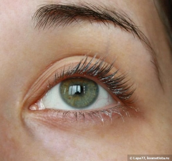 Eveline lash booster сыворотка для ресниц отзывы Eveline lash booster сыворотка для ресниц отзывы