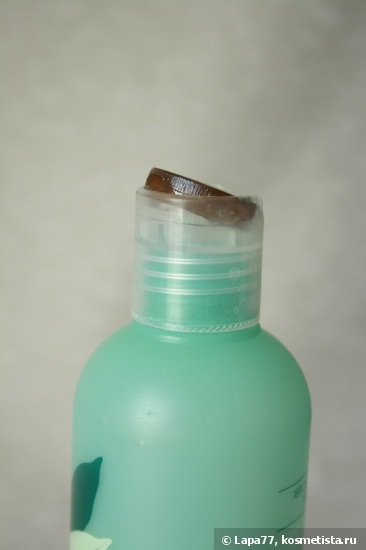 Innisfree Green tea mint fresh shampoo Освежающий шампунь с зеленым чаем и мятой